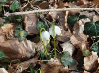 Wanderung zu den M�rzenbecher