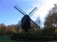 Alte M�hle